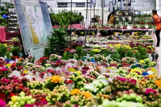 Shopping das Flores Expoflora
